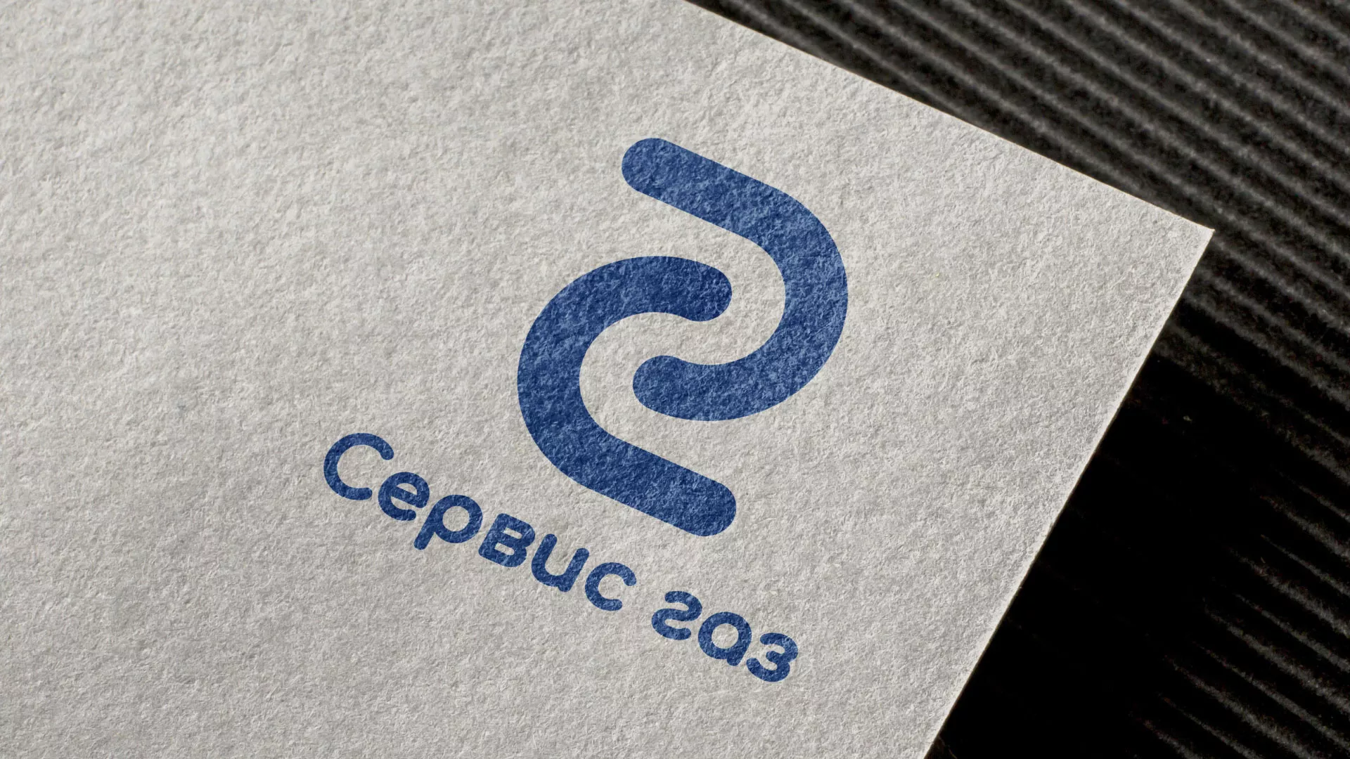 Разработка логотипа «Сервис газ» в Шацке