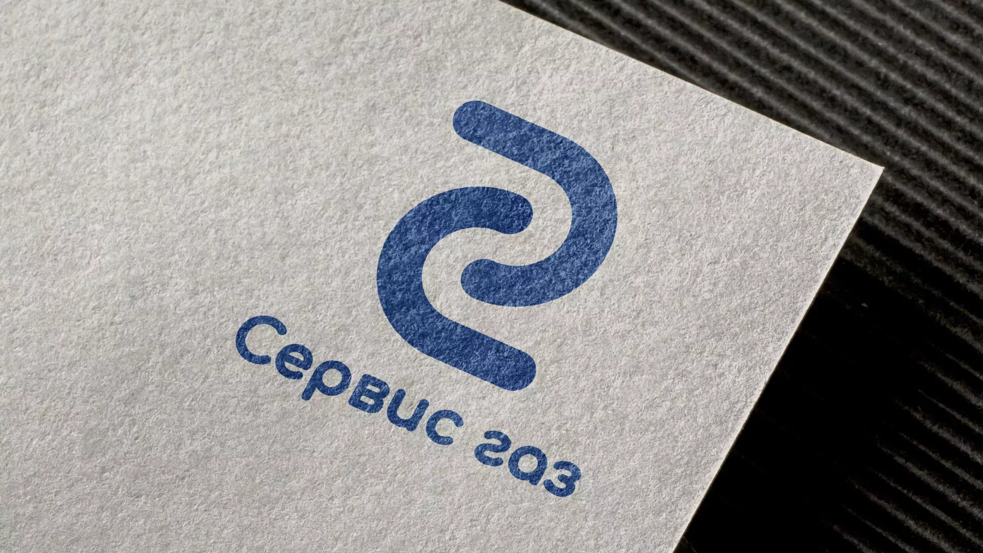 Разработка логотипа «Сервис газ» в Шацке