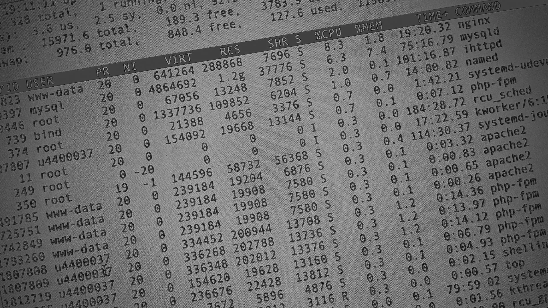 Настройка сервера в Шацке Настройка сервера в Шацке