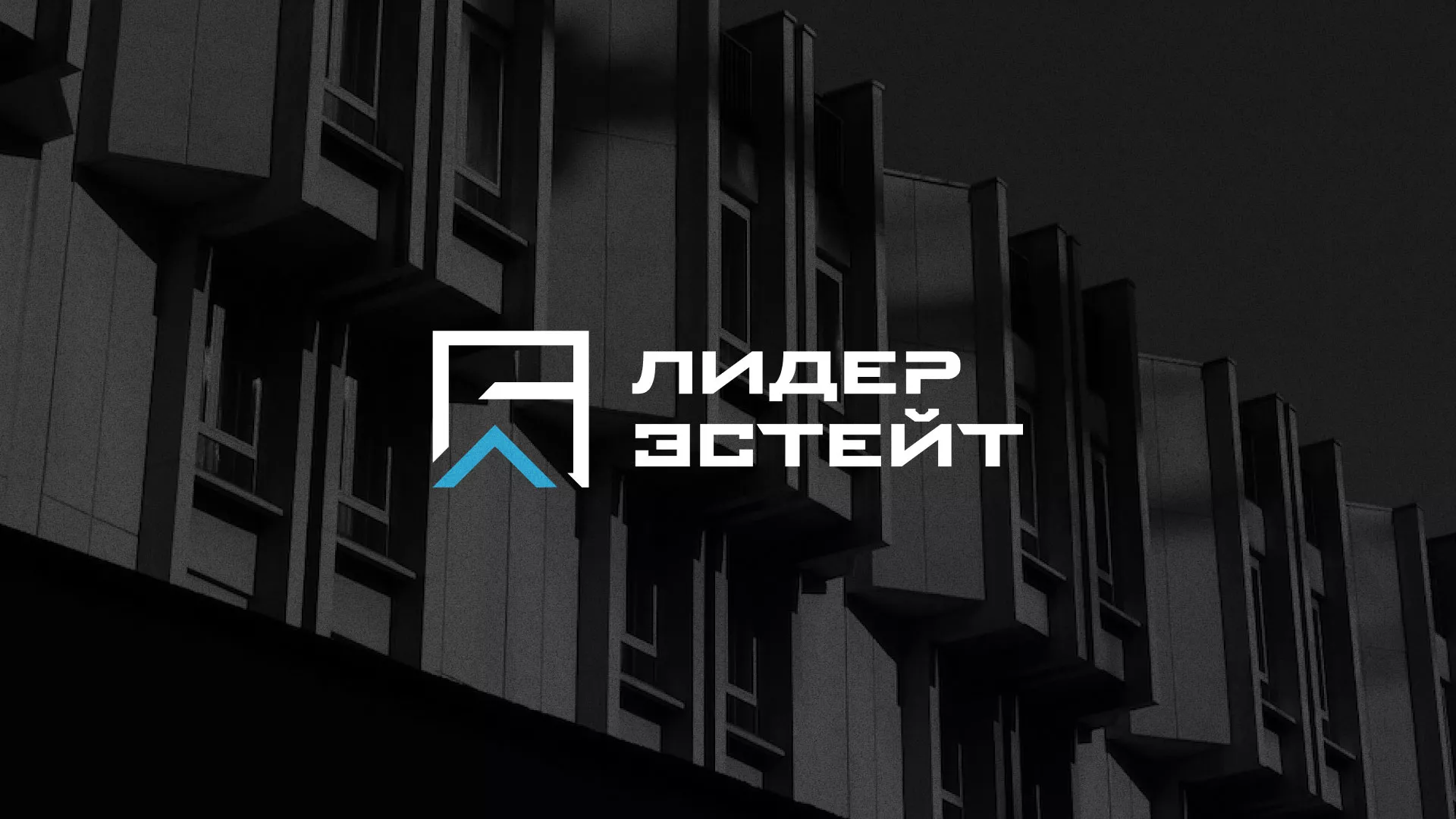 Разработка логотипа агентства недвижимости «Лидер Эстейт» в Шацке