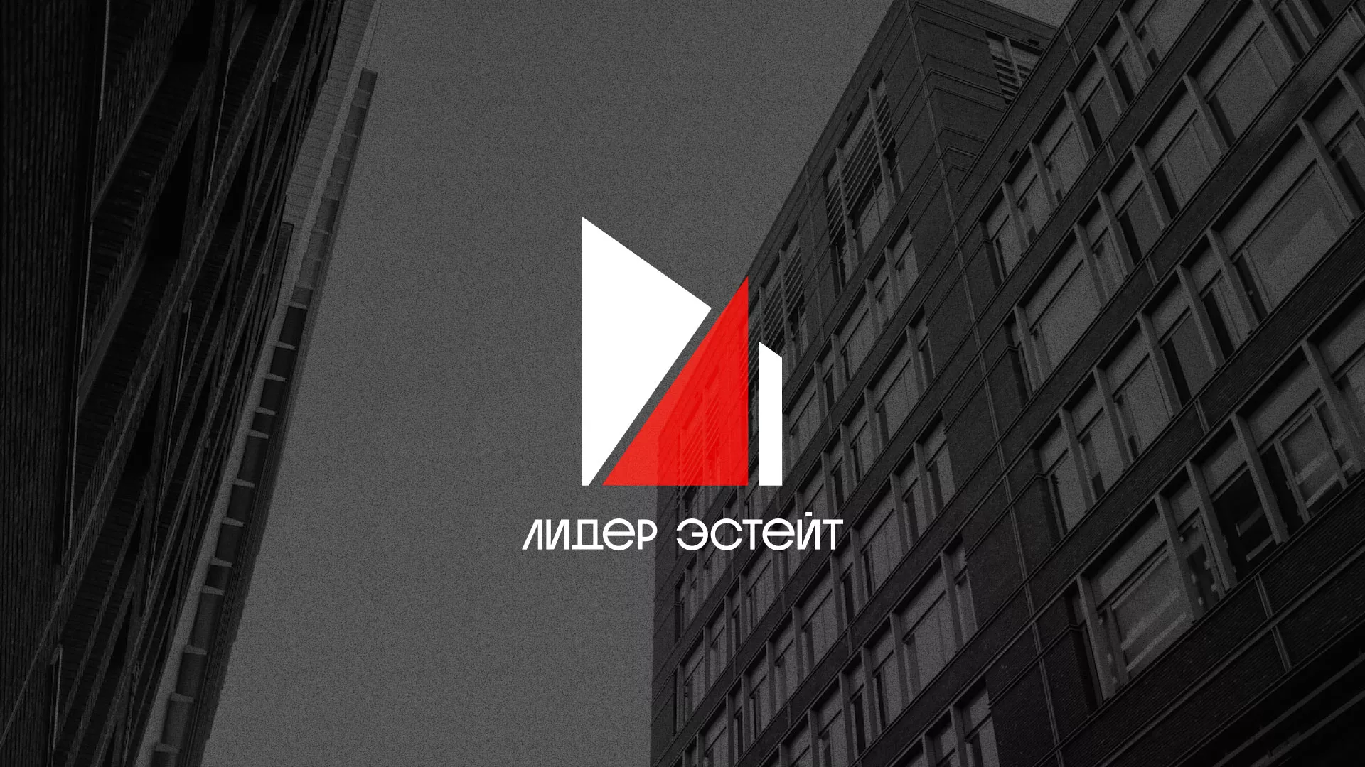 Сделали логотип для агентства недвижимости «Лидер Эстейт» в Шацке