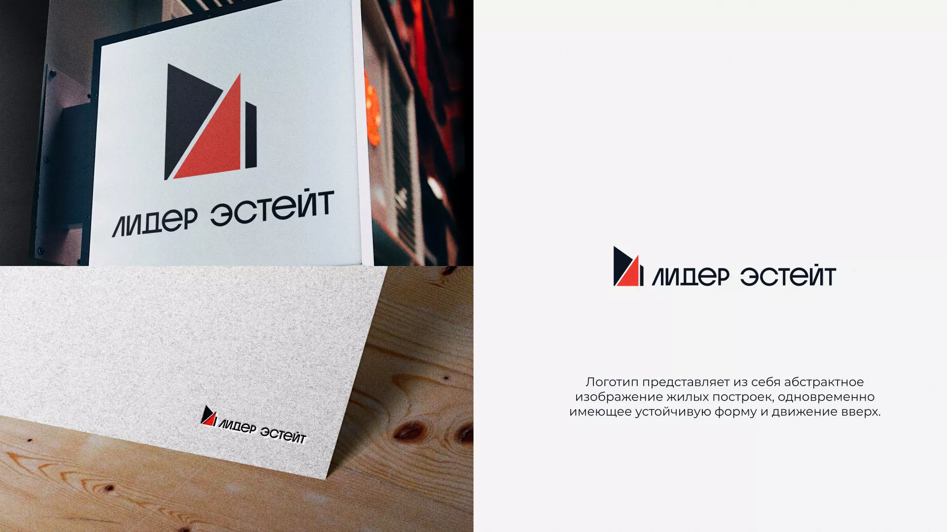 Сделали логотип для агентства недвижимости «Лидер Эстейт» в Шацке